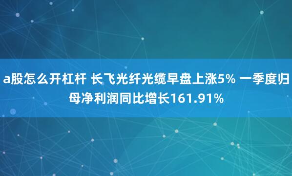 a股怎么开杠杆 长飞光纤光缆早盘上涨5% 一季度归母净利润同比增长161.91%