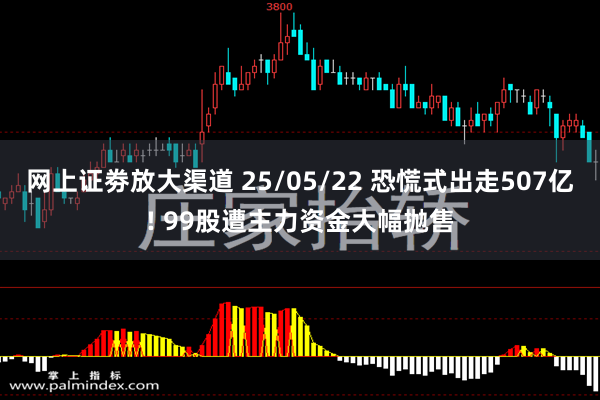 网上证劵放大渠道 25/05/22 恐慌式出走507亿! 99股遭主力资金大幅抛售