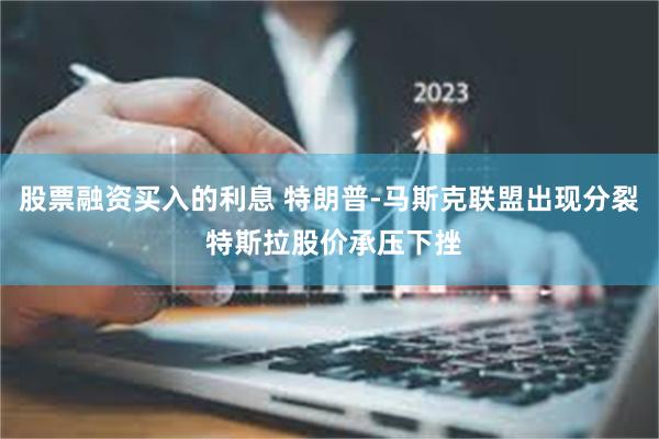 股票融资买入的利息 特朗普-马斯克联盟出现分裂 特斯拉股价承压下挫