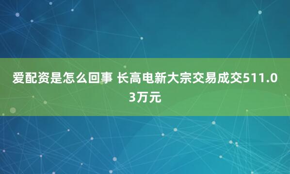 爱配资是怎么回事 长高电新大宗交易成交511.03万元