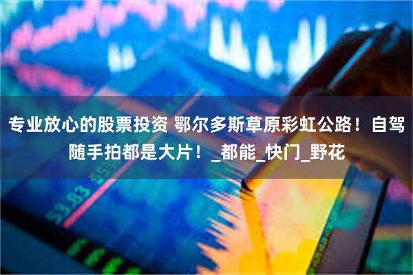 专业放心的股票投资 鄂尔多斯草原彩虹公路！自驾随手拍都是大片！_都能_快门_野花