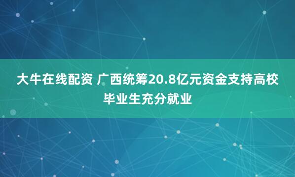 大牛在线配资 广西统筹20.8亿元资金支持高校毕业生充分就业